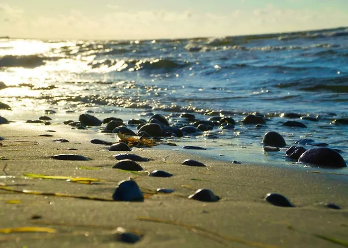 Feriehus 3 Person In Sydals-by Traum Nedre Lysabild