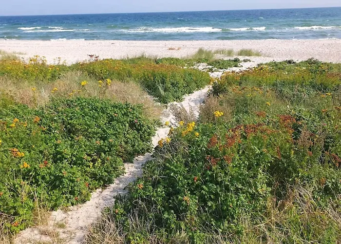 3 Person In Sydals-by Traum * Nedre Lysabild